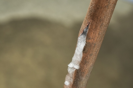 A frozen copper water supply line.